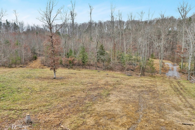 Listing photo 2 for LOT4C Family Acres Ln, Bedford VA 24523