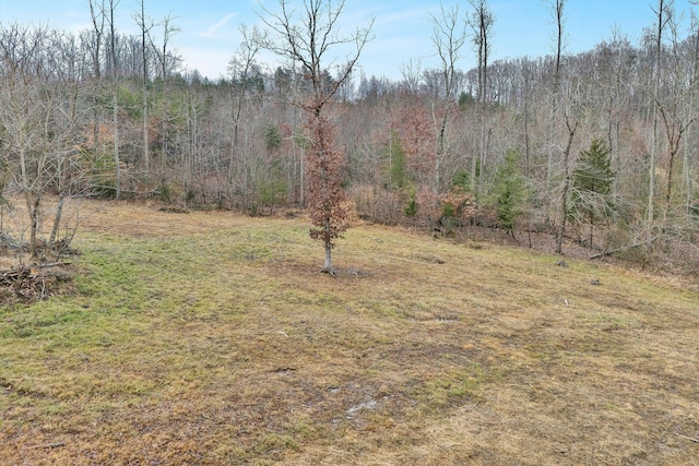 Listing photo 3 for LOT4C Family Acres Ln, Bedford VA 24523