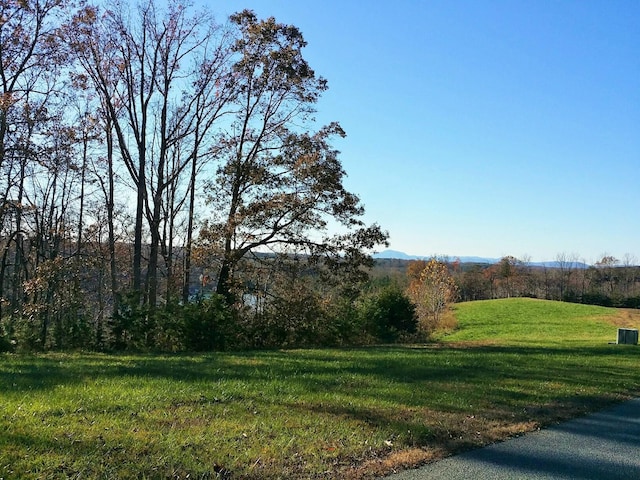 Listing photo 2 for LOT41 Sassafras Ct, Moneta VA 24121