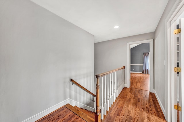 staircase featuring wood-type flooring