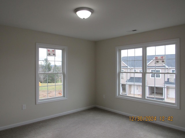 carpeted empty room featuring baseboards and a wealth of natural light