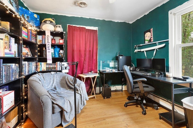 office space with hardwood / wood-style flooring