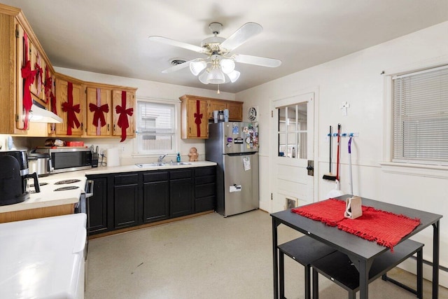 kitchen featuring appliances with stainless steel finishes, ceiling fan, and sink