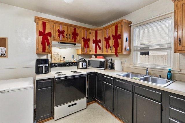 kitchen with electric stove, sink, and fridge