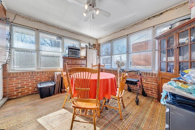 carpeted dining space featuring ceiling fan and brick wall