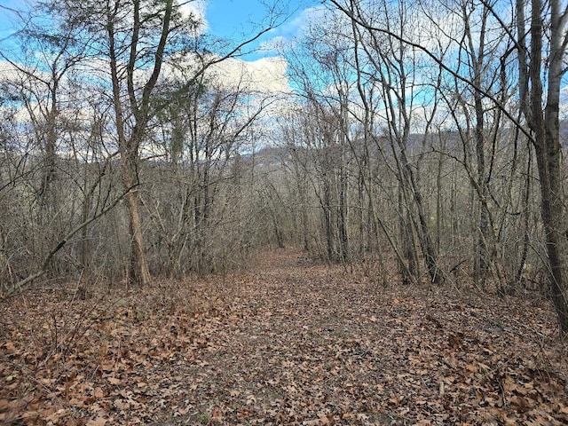 0 Purgatory Mountain Rd, Buchanan VA, 24066 land for sale