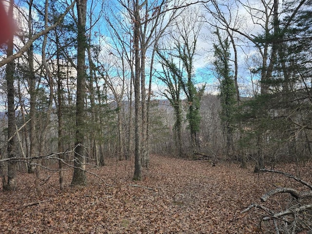 Listing photo 2 for 0 Purgatory Mountain Rd, Buchanan VA 24066