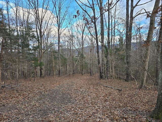 Listing photo 3 for 0 Purgatory Mountain Rd, Buchanan VA 24066