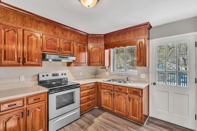 kitchen with light hardwood / wood-style flooring, stainless steel electric stove, and sink