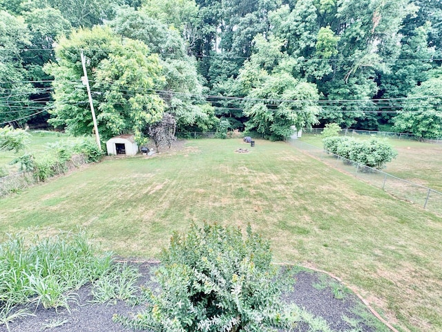 view of yard with a storage shed