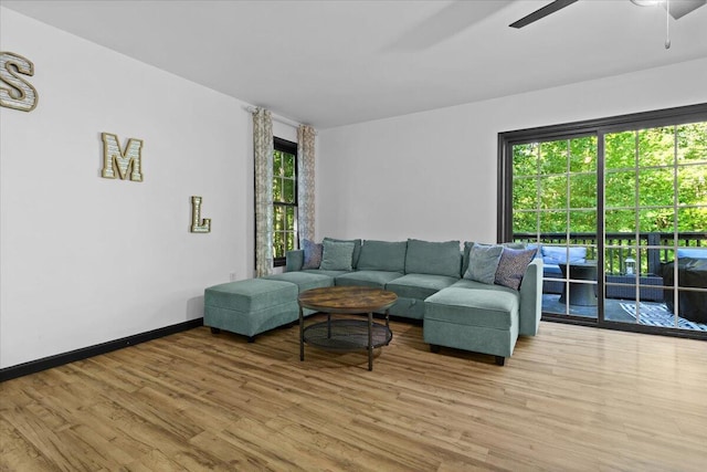 living room featuring light hardwood / wood-style floors