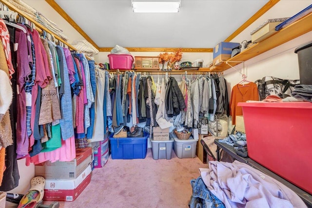 walk in closet with carpet floors