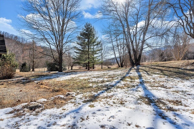 view of snowy yard