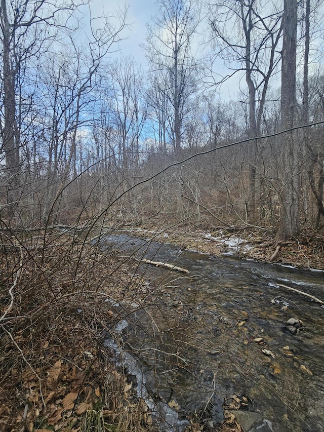 view of local wilderness