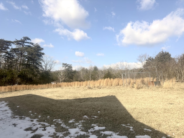 view of yard with a rural view