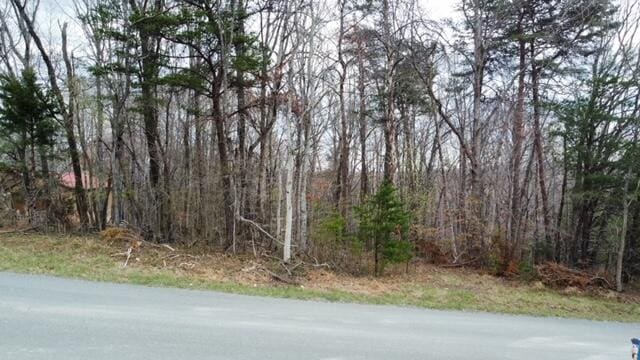 Listing photo 3 for 0000 Altice Mill Rd, Rocky Mount VA 24151