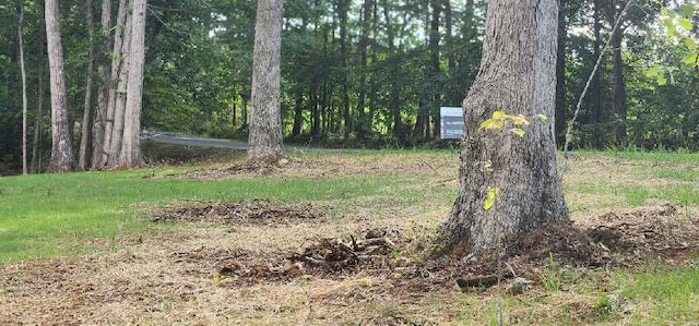 LOT58 Buccaneer Rd, Moneta VA, 24121 land for sale