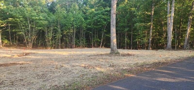 Listing photo 3 for LOT58 Buccaneer Rd, Moneta VA 24121