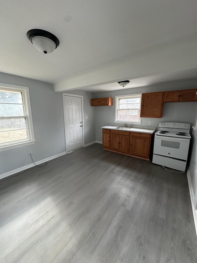 kitchen featuring white electric range oven, hardwood / wood-style floors, and sink