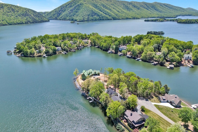 birds eye view of property featuring a water and mountain view