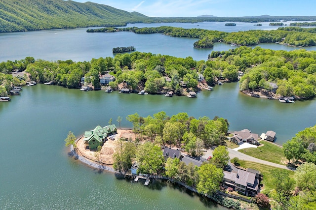aerial view with a water view and a view of trees