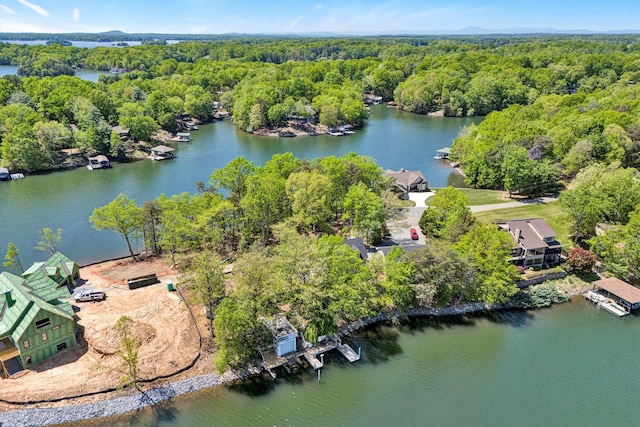 birds eye view of property with a water view and a forest view