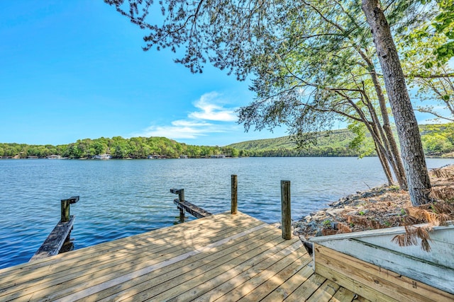 view of dock with a water view and a view of trees