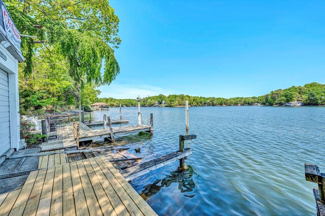 dock area featuring a water view