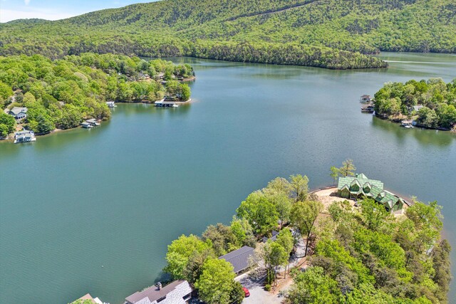 drone / aerial view with a water view and a view of trees