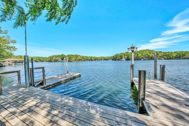 dock area with a water view