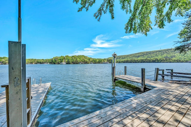 view of dock with a water view and a view of trees