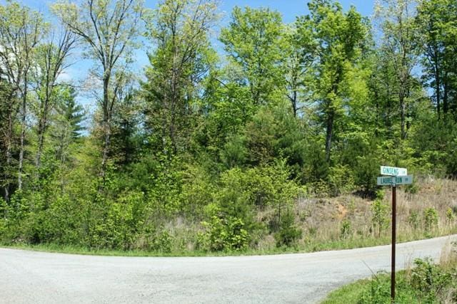 TRACT5 Ginseng Ln, Callaway, VA 24067