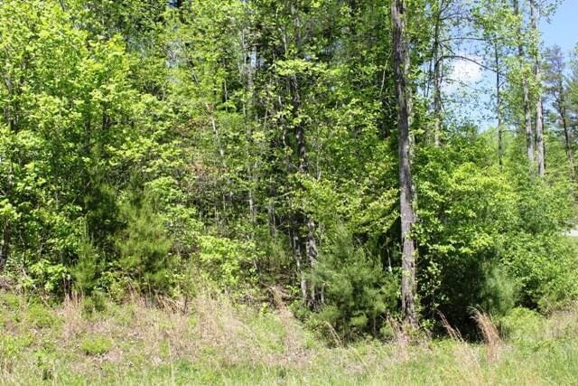 TRACT6 Mint Ln, Callaway VA, 24067 land for sale