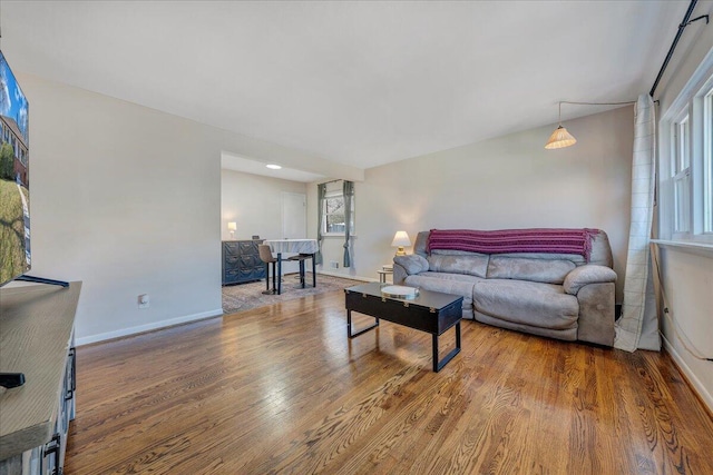 living room featuring hardwood / wood-style flooring