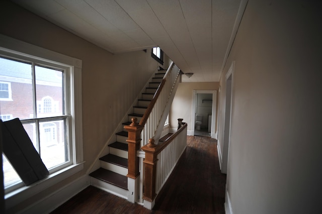 staircase featuring hardwood / wood-style floors and a wealth of natural light