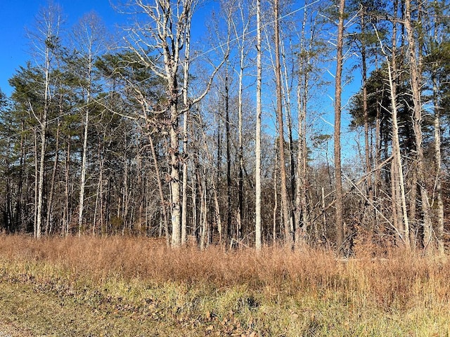 Listing photo 2 for LOT10 Barrett Rd, Hardy VA 24101