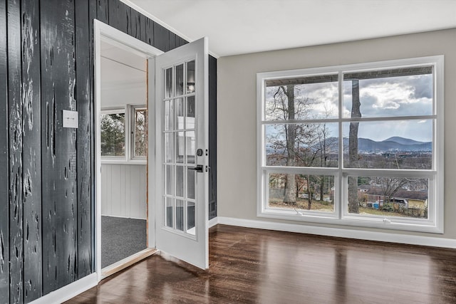 interior space featuring a mountain view, a healthy amount of sunlight, and dark wood-type flooring