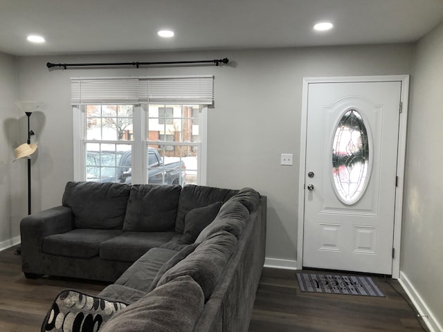 foyer entrance with dark wood-type flooring