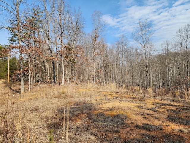 LOT18 Turkey Run Ln, Wirtz VA, 24184 land for sale