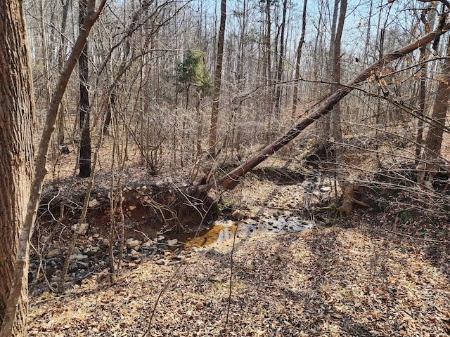 Listing photo 3 for LOT18 Turkey Run Ln, Wirtz VA 24184