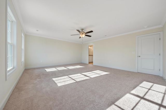 carpeted empty room with ceiling fan and ornamental molding