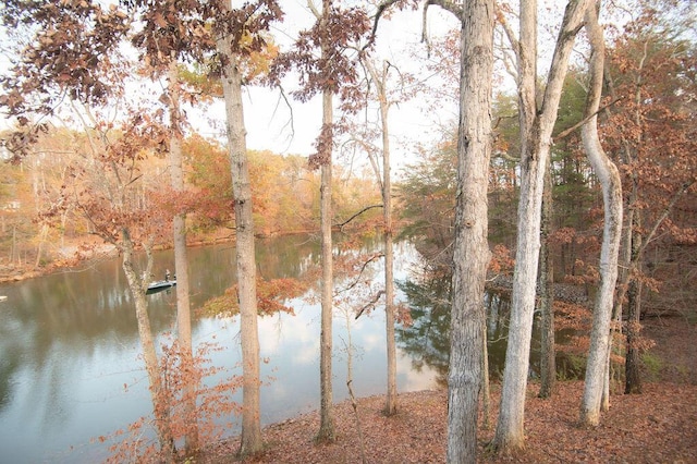 view of water feature