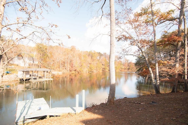 water view featuring a boat dock