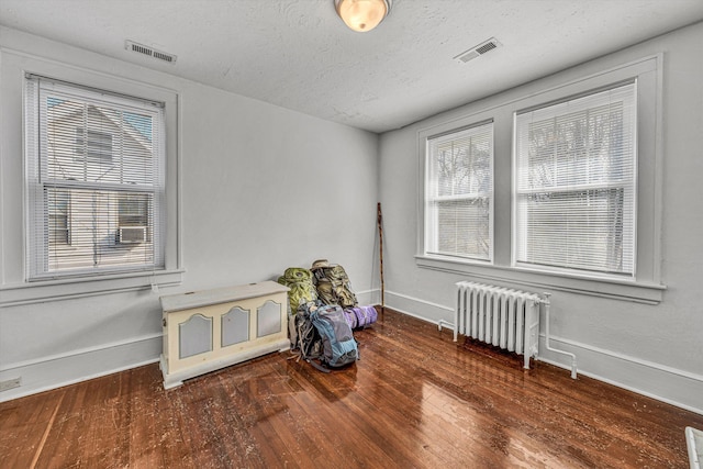 interior space with wood-type flooring, radiator, a textured ceiling, and a wealth of natural light