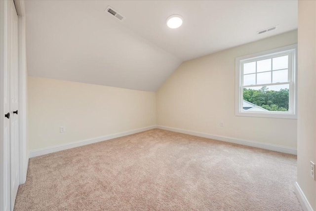 additional living space featuring light carpet and vaulted ceiling