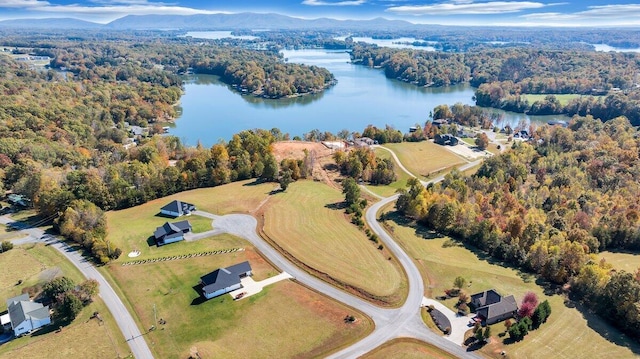 Listing photo 3 for LOT17 Blue Heron Dr, Wirtz VA 24184