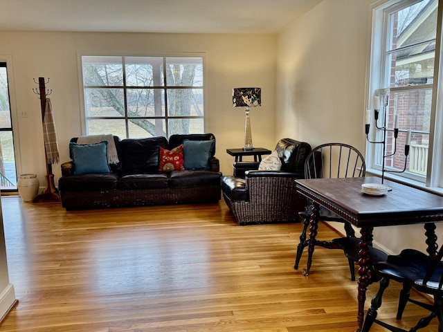 living room featuring a healthy amount of sunlight and light hardwood / wood-style floors