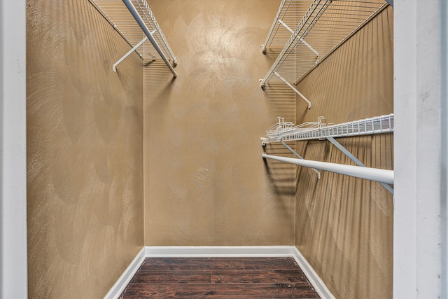 spacious closet featuring dark hardwood / wood-style floors