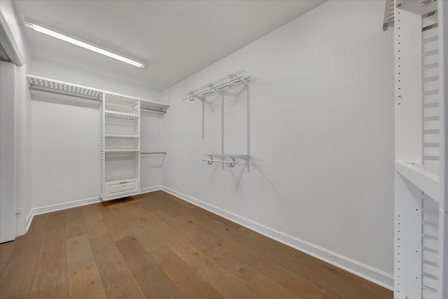 spacious closet with hardwood / wood-style floors