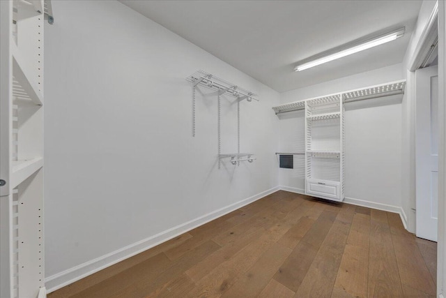 walk in closet featuring hardwood / wood-style flooring